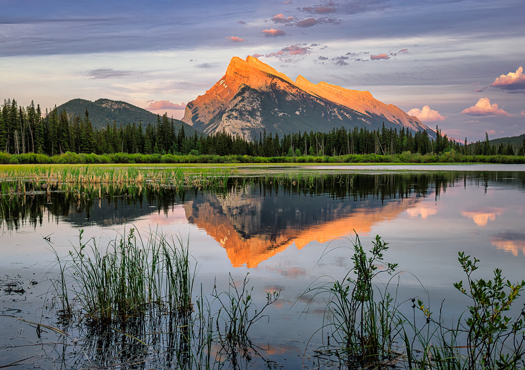 Rundle Reflection